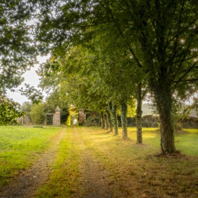 Portail Est d'entrée sur le domaine