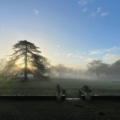 Le parc dans la brume
