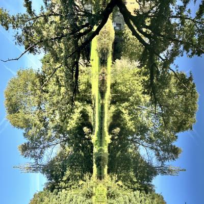 Miroir