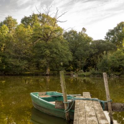 Le ponton du petit étang